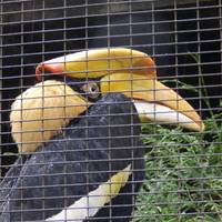 Vogelpark Heiligenkirchen