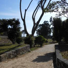 Castillo de Santa Cruz