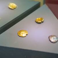 Museo Archeologico Civico L. Bruzza
