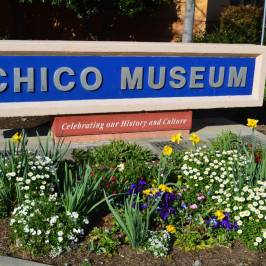 Chico Museum