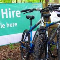 The Activity Hub