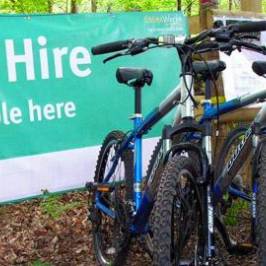 The Activity Hub