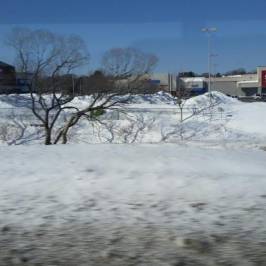 Cape Cod Mall