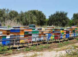 Agriturismo DolcEtna