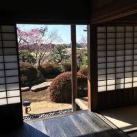 Kobuntei
