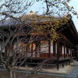 Kodokan Park