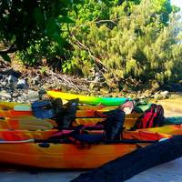 Seaway Kayaking Tours