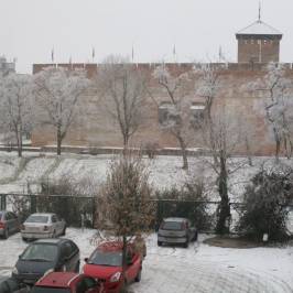 Gyula Castle