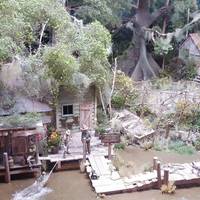 The Suncoast Center for Fine Scale Modeling