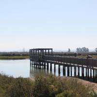 Parque Natural Bahia de Cadiz