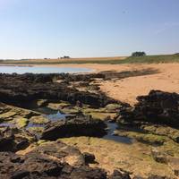 Kingsbarns Beach