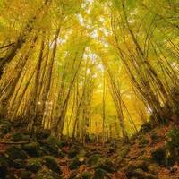 Parco Naturale dei Monti Aurunci