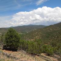 Dorothy Stewart Trail