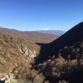 Dilijan National Park