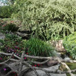 Jardin des Plantes