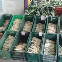 Mercado de Abastos