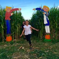 Swore Farms