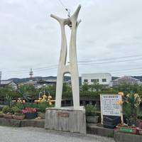 Chikyu 33