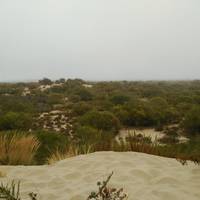Playa Nueva Umbria