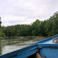 Mangrove Center Graha indah