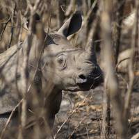Mthethomusha Game Reserve