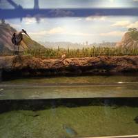 Peter & Mary Muth Interpretive Center
