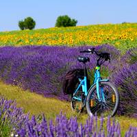 Rent Bike Luberon