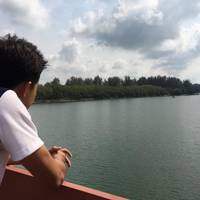 Lorong Halus Wetland