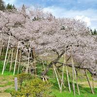 Garyu Park (Garyu Sakura)