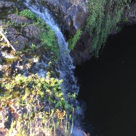 Killen Falls