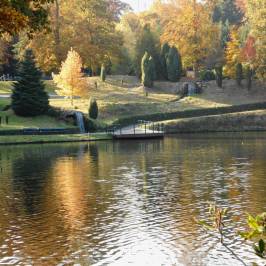 Park Berg en Bos