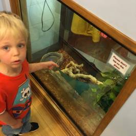 Meadowside Nature Center