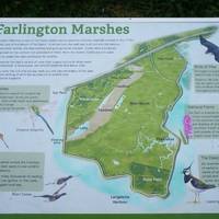 Farlington Marshes Wildlife Reserve