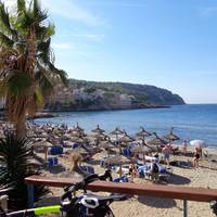 Stephen Roche Cycling Holidays & Training Camps