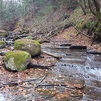 Wesley Hill Nature Preserve
