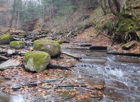 Wesley Hill Nature Preserve