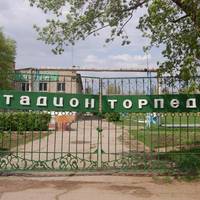 Торпедо