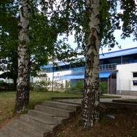 Купол