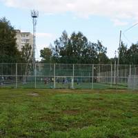 Фламинго