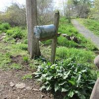 Green Spring Gardens