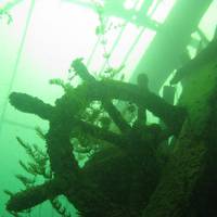 Pro Diving Montenegro