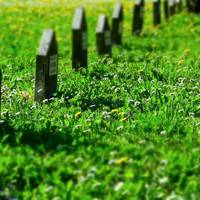 Cimitero Vantiniano