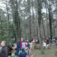 Casale Dei Pini