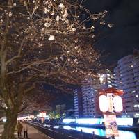 Kotsukigawa Green Land