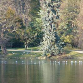 Parc Edmond-de-Rothschild