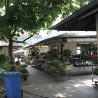 Elisabethmarkt