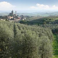 Montalbano Agricola Alimentare Toscana