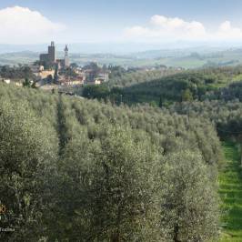 Montalbano Agricola Alimentare Toscana