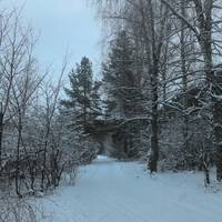 Стригино Лыжная База