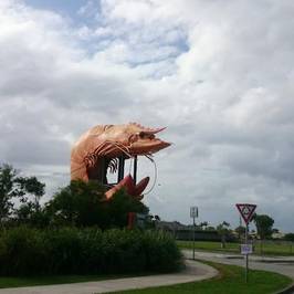 Big Prawn